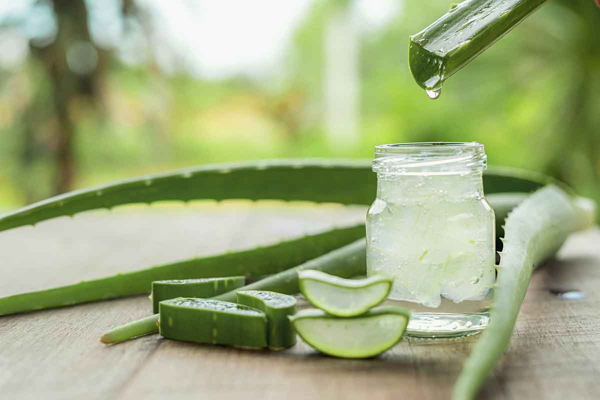 Aloe Vera Drink von Vegas Cosmetics